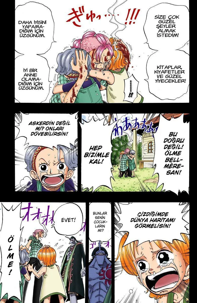 One Piece [Renkli] - Sayfa 18