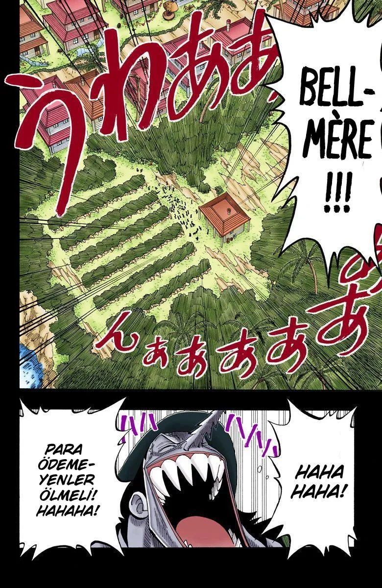 One Piece [Renkli] - Sayfa 6