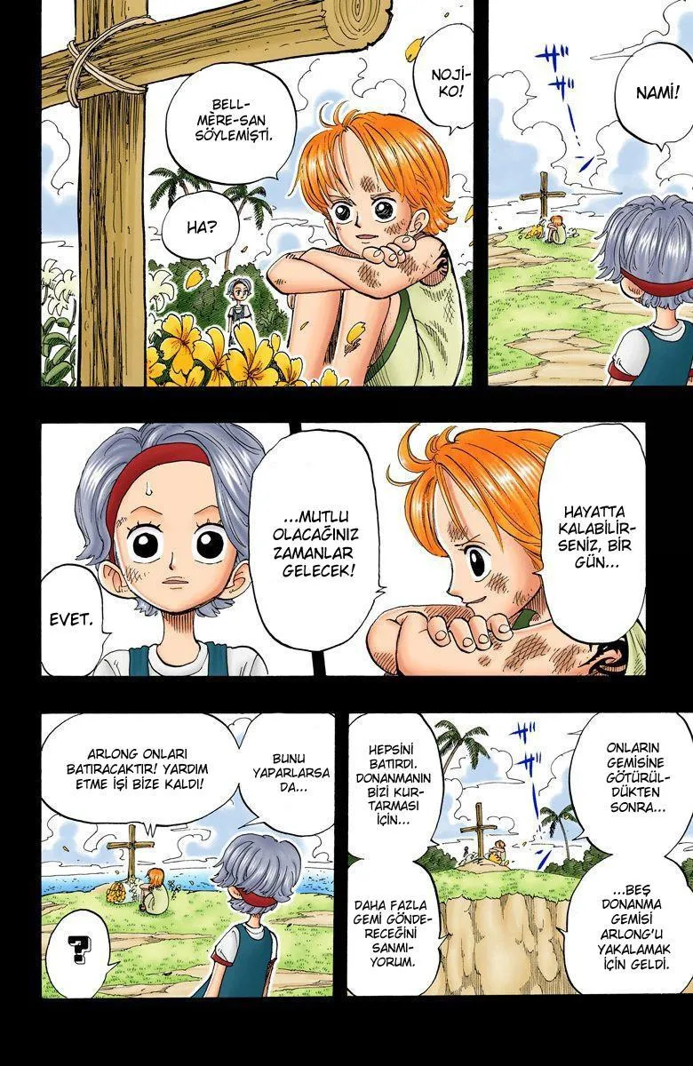 One Piece [Renkli] - Sayfa 18