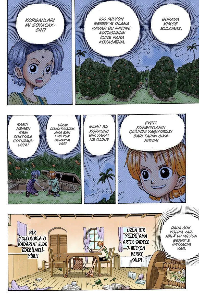 One Piece [Renkli] - Sayfa 5