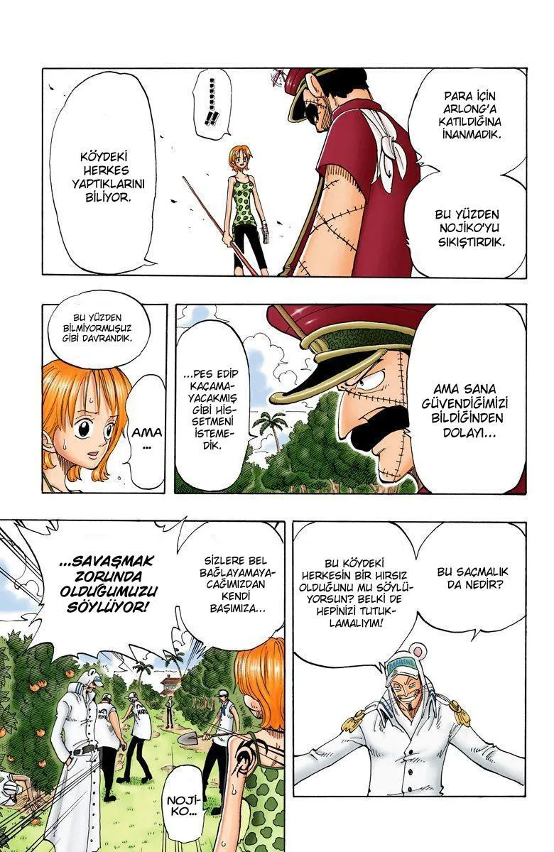 One Piece [Renkli] - Sayfa 14
