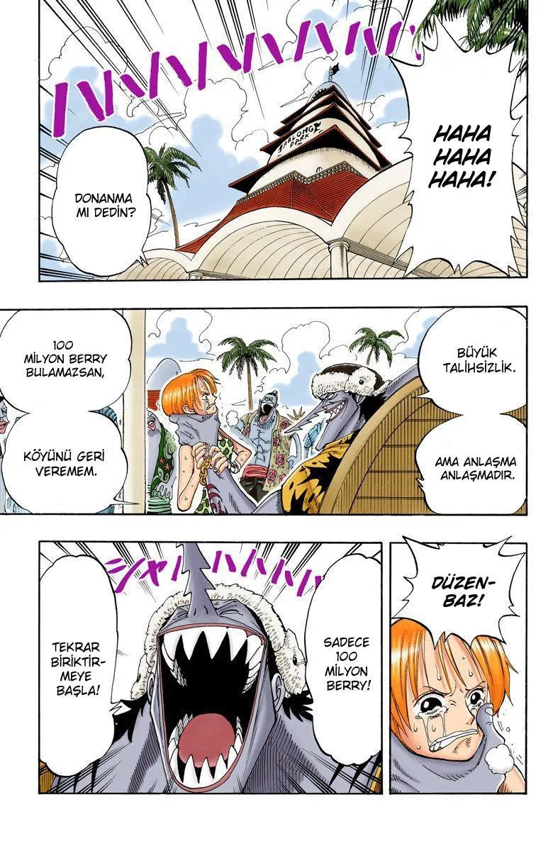 One Piece [Renkli] - Sayfa 4