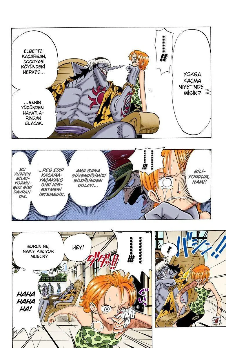 One Piece [Renkli] - Sayfa 5