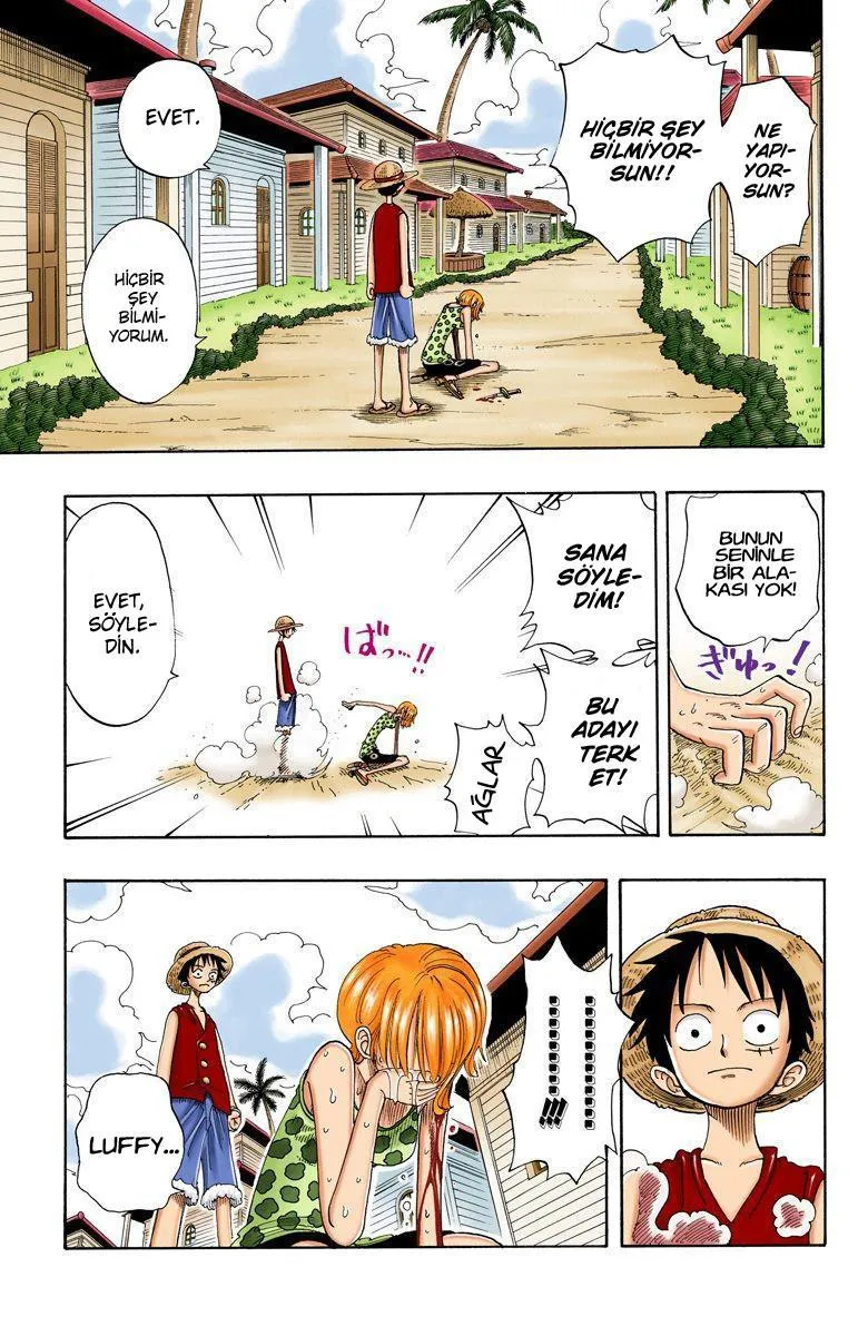 One Piece [Renkli] - Sayfa 14