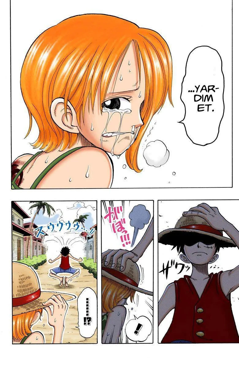 One Piece [Renkli] - Sayfa 15