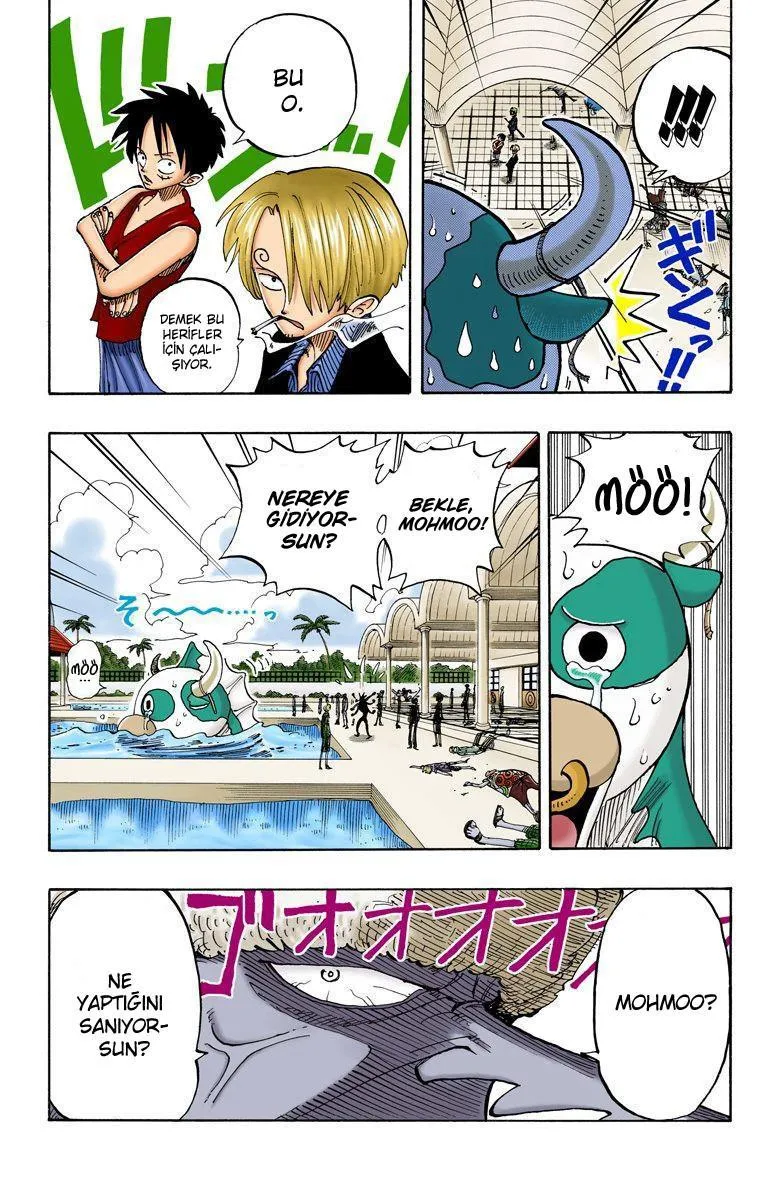 One Piece [Renkli] - Sayfa 12