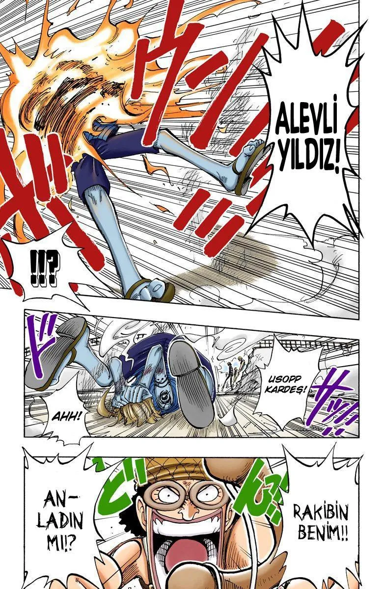 One Piece [Renkli] - Sayfa 14