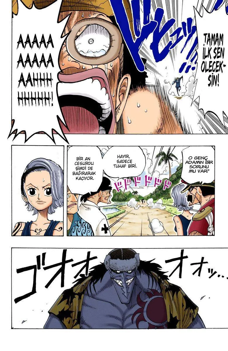 One Piece [Renkli] - Sayfa 15