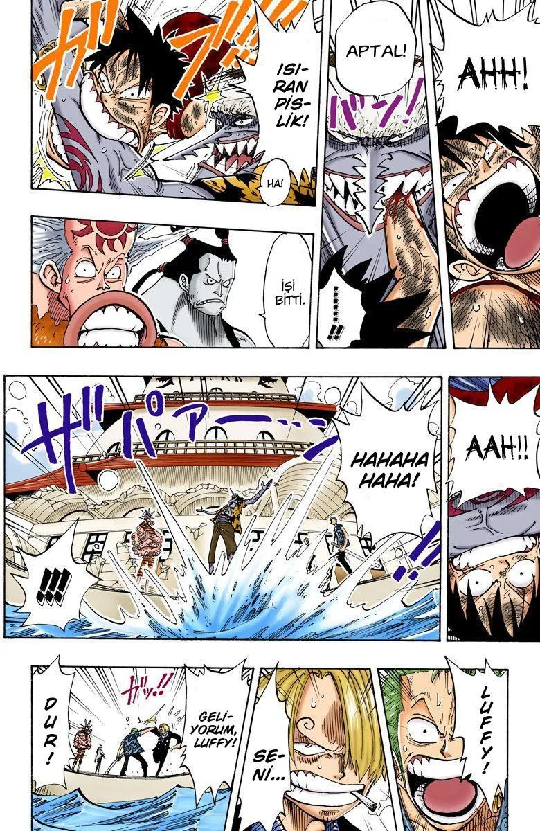 One Piece [Renkli] - Sayfa 19