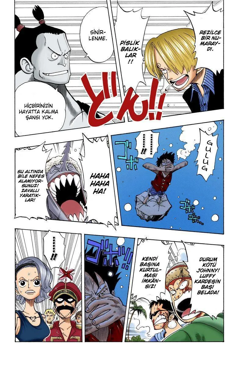 One Piece [Renkli] - Sayfa 4