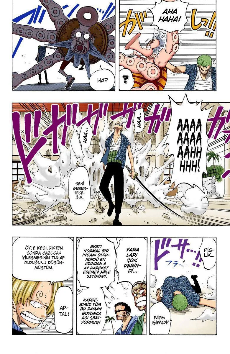 One Piece [Renkli] - Sayfa 15