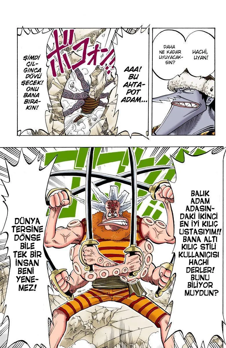 One Piece [Renkli] - Sayfa 18