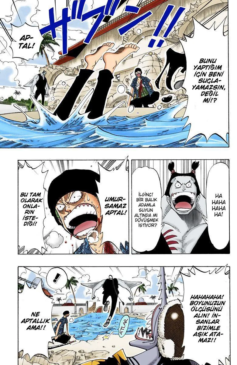 One Piece [Renkli] - Sayfa 5