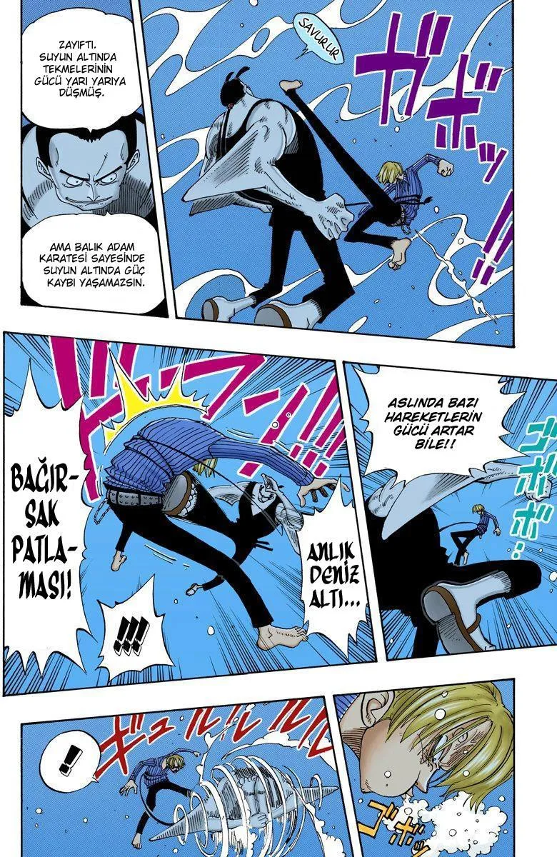 One Piece [Renkli] - Sayfa 10