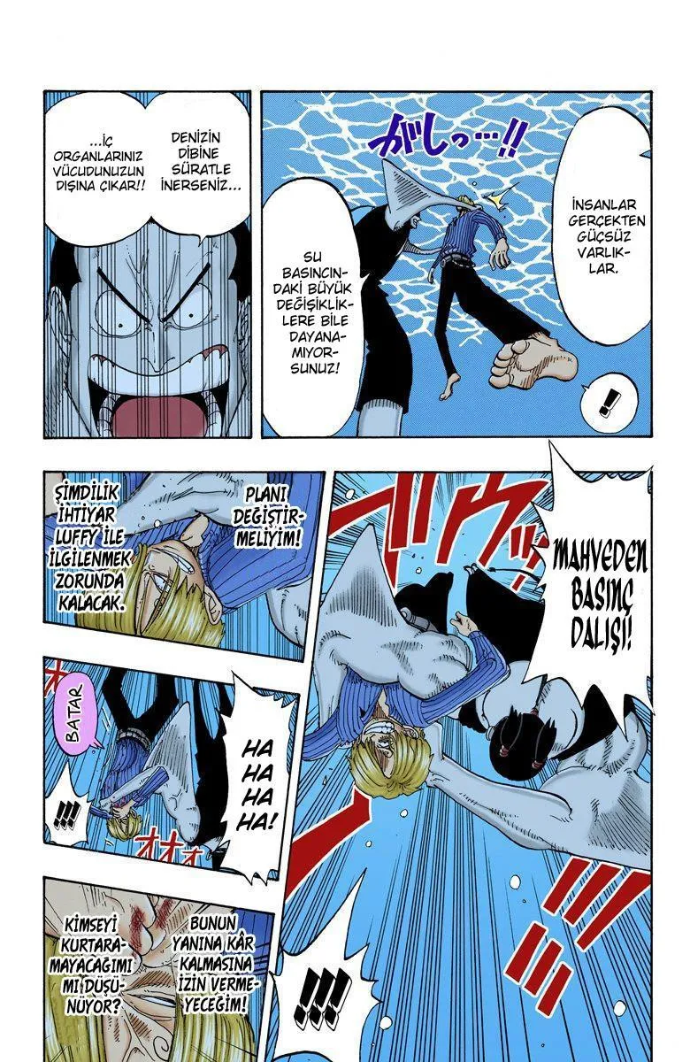 One Piece [Renkli] - Sayfa 15