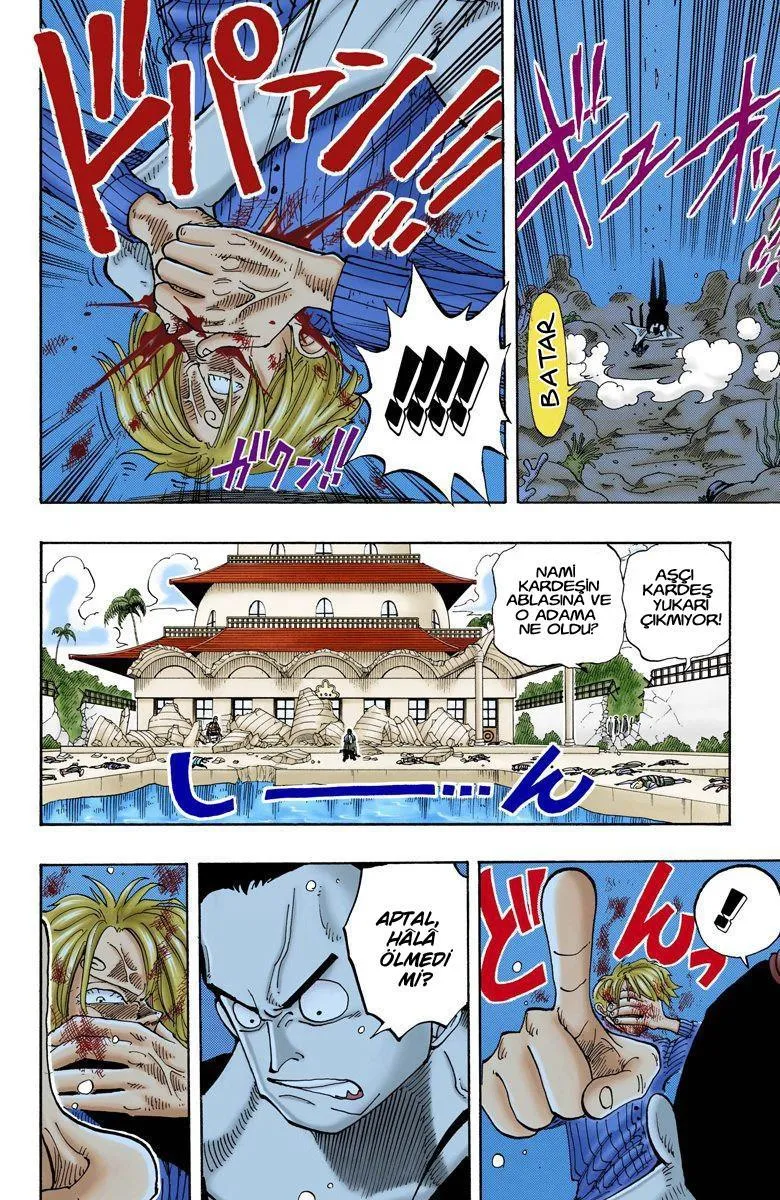 One Piece [Renkli] - Sayfa 16