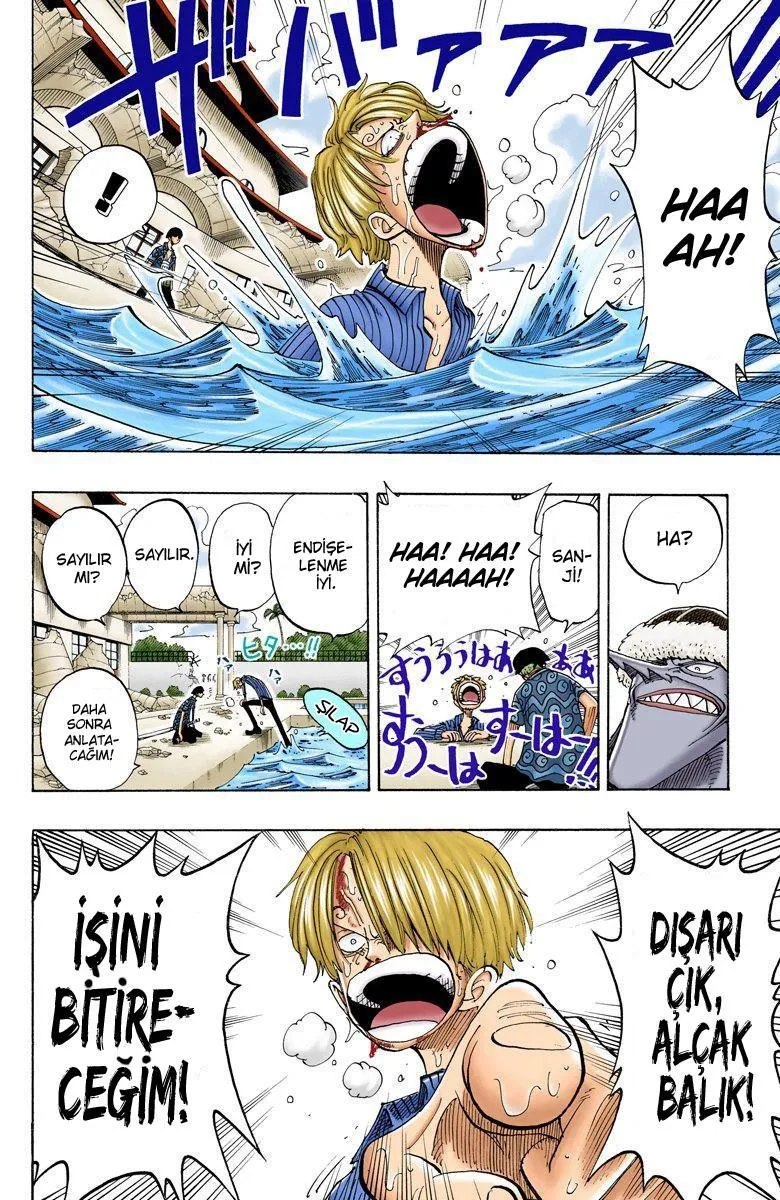 One Piece [Renkli] - Sayfa 18