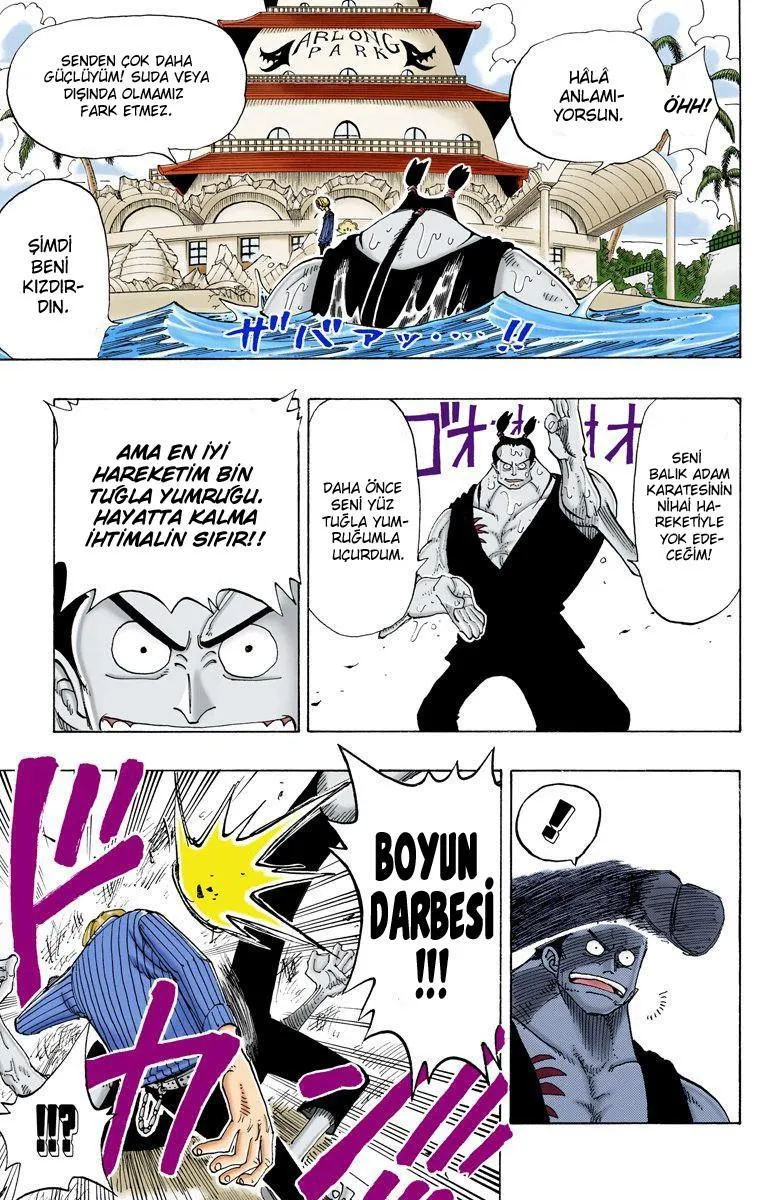 One Piece [Renkli] - Sayfa 19