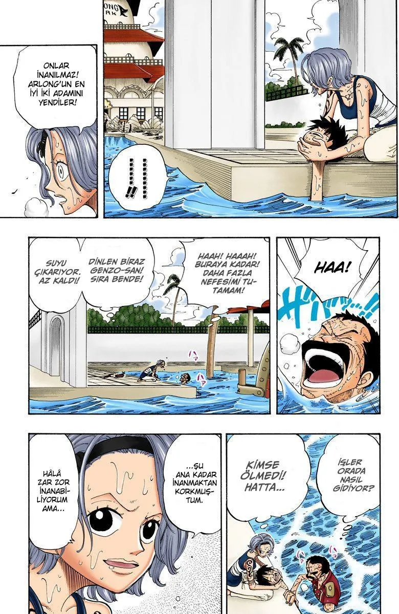 One Piece [Renkli] - Sayfa 6