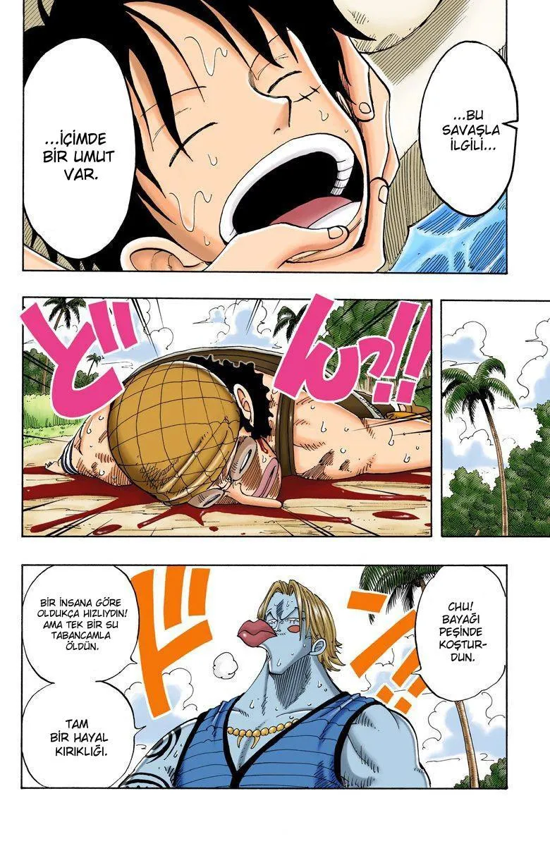 One Piece [Renkli] - Sayfa 7