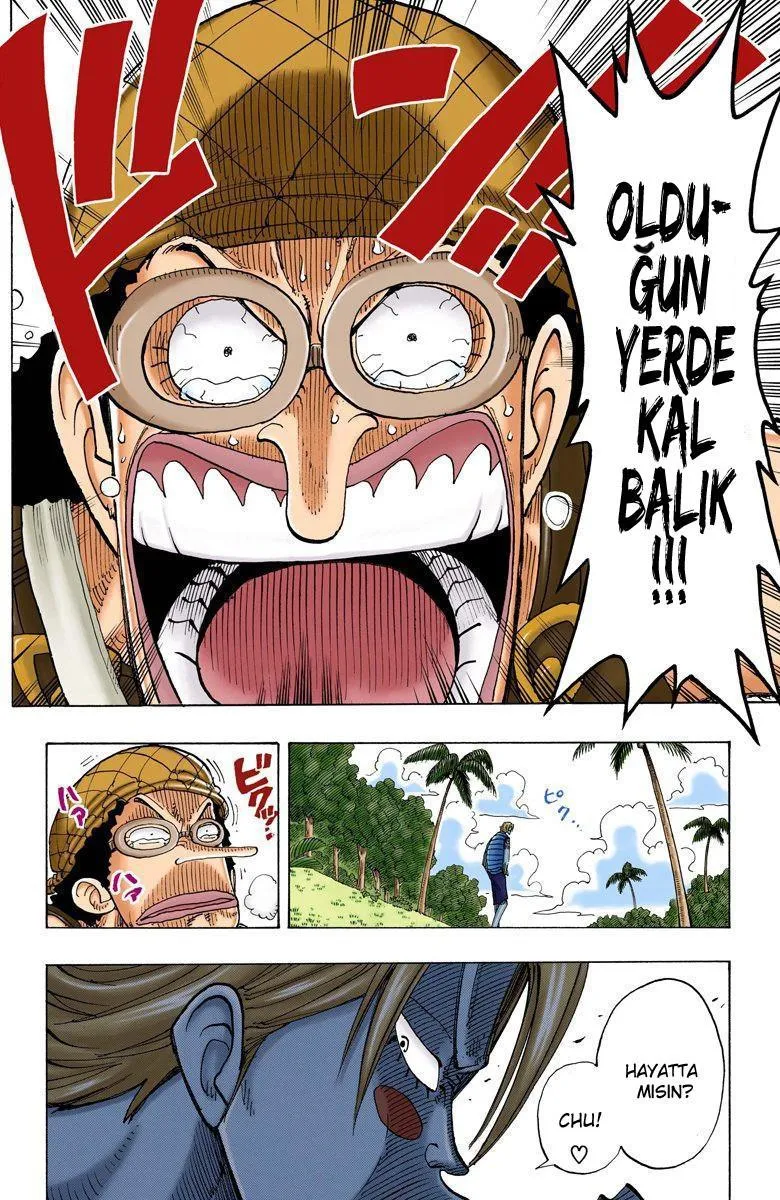 One Piece [Renkli] - Sayfa 11