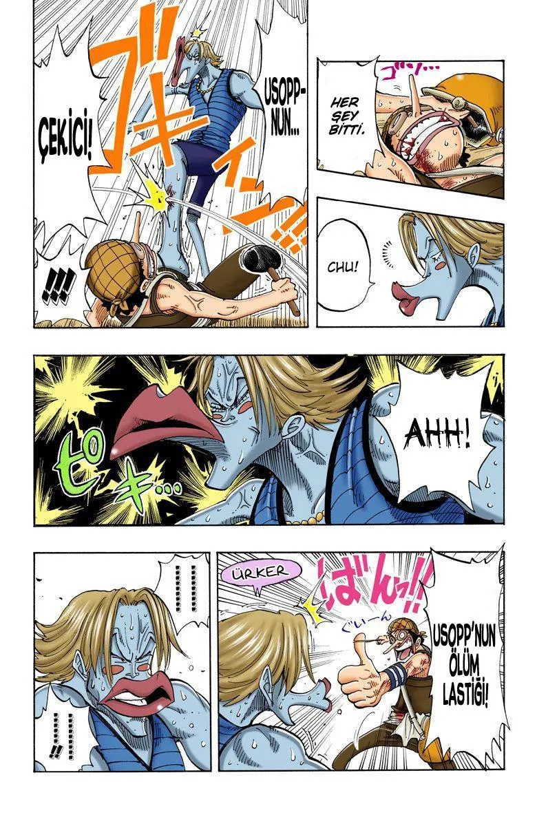 One Piece [Renkli] - Sayfa 15