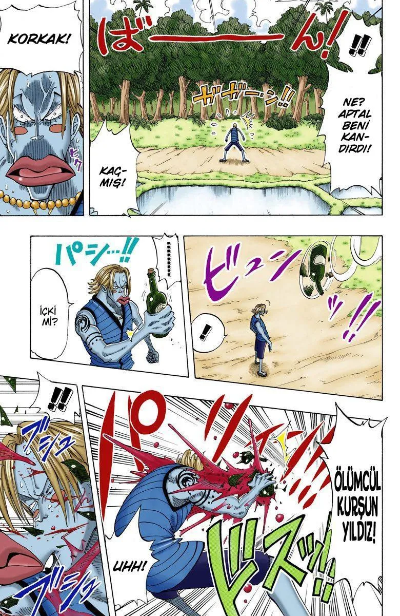 One Piece [Renkli] - Sayfa 16