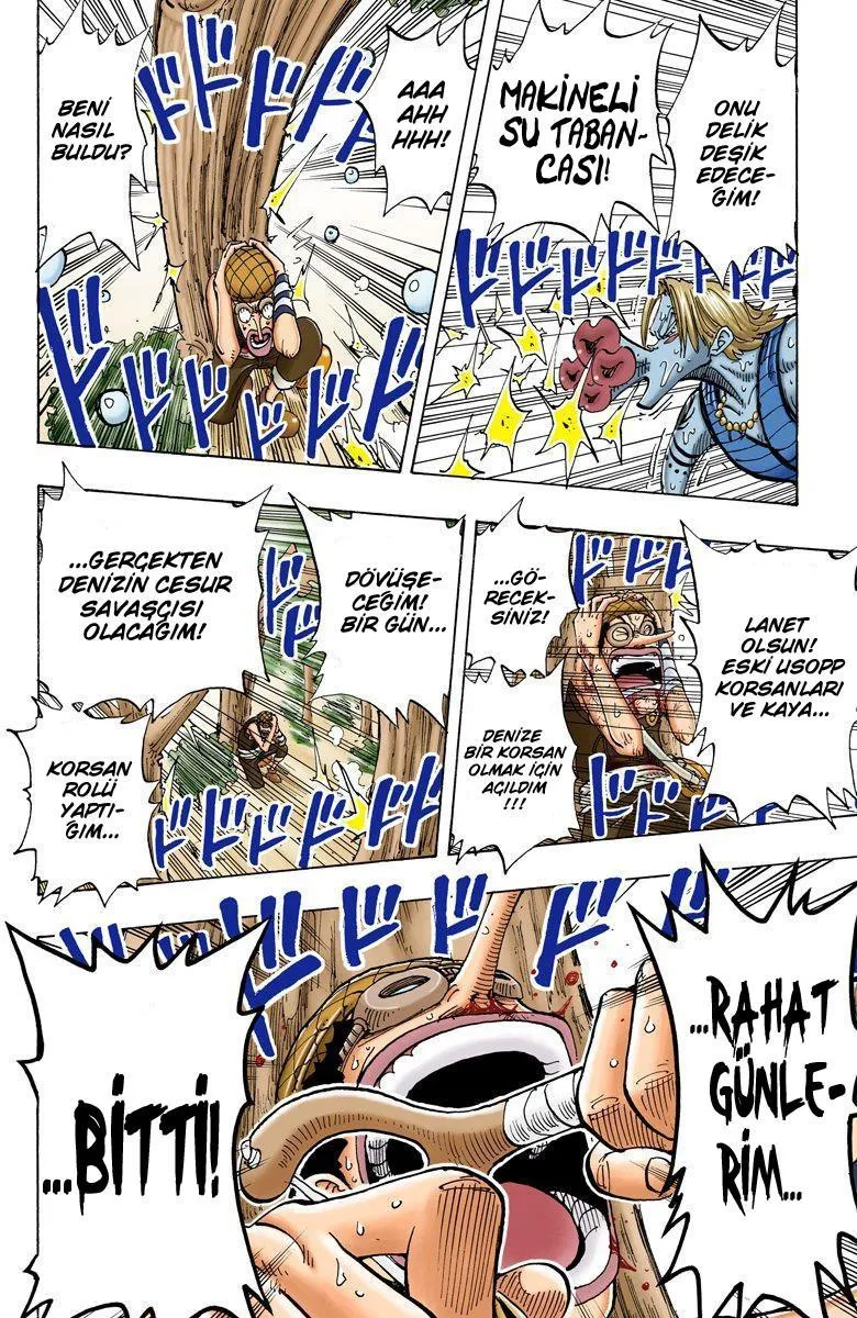 One Piece [Renkli] - Sayfa 19