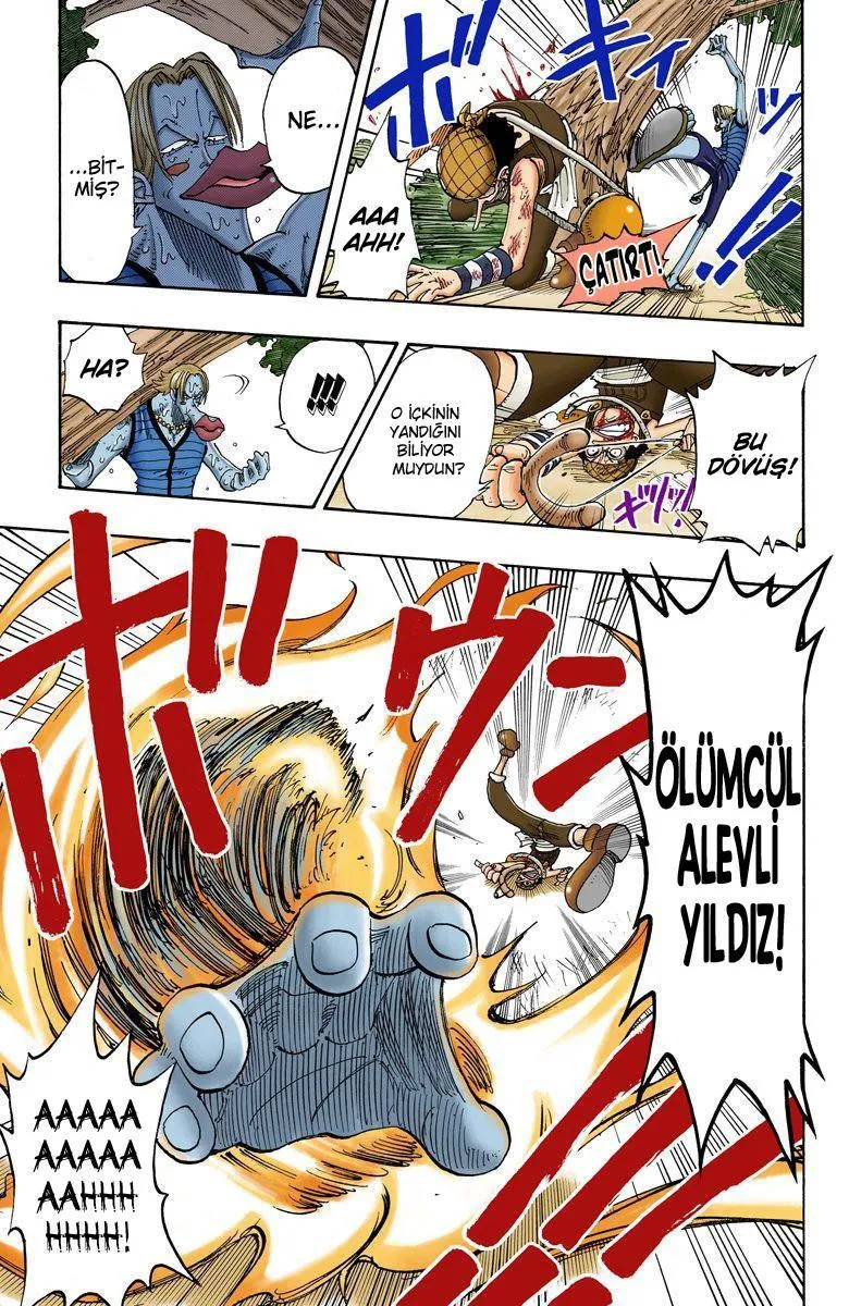 One Piece [Renkli] - Sayfa 20