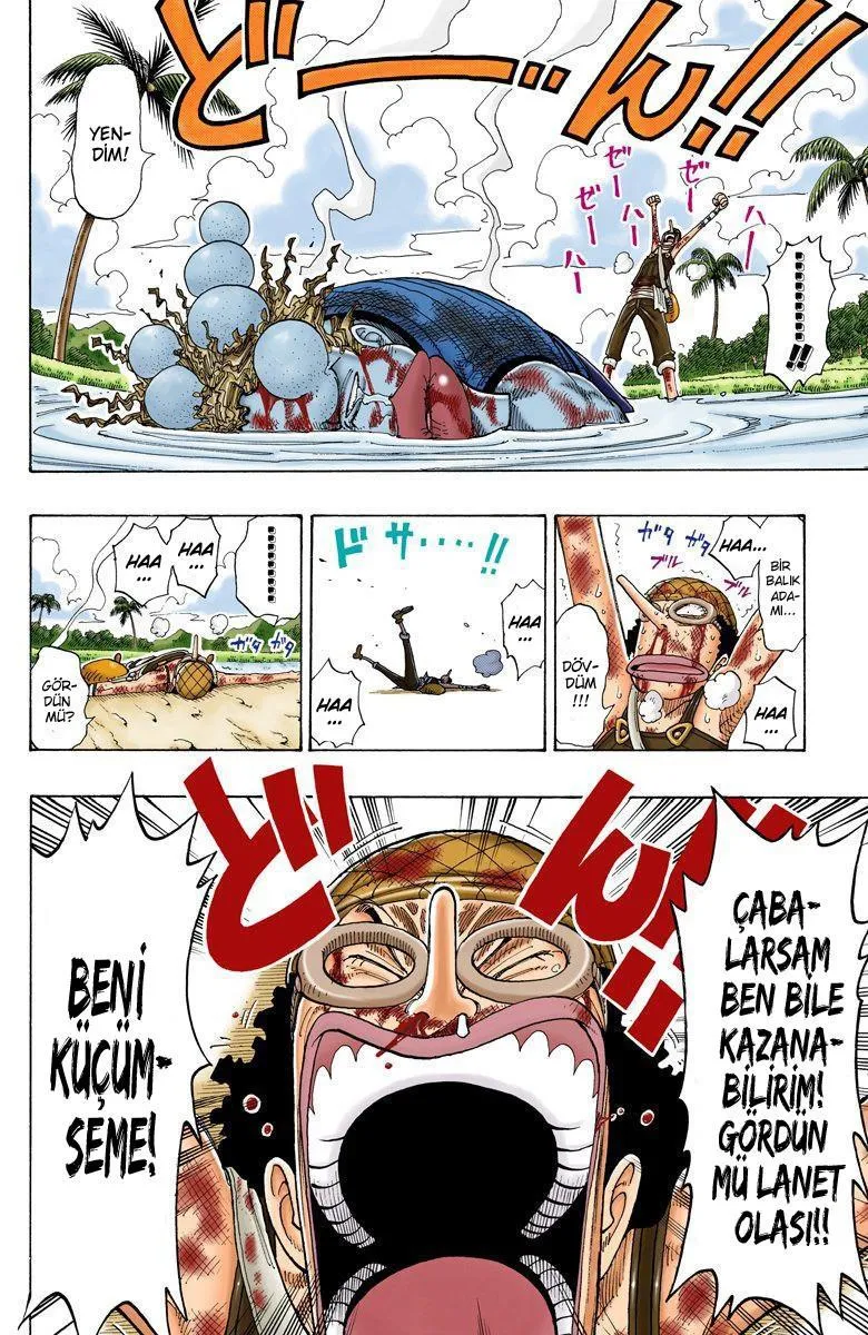 One Piece [Renkli] - Sayfa 5