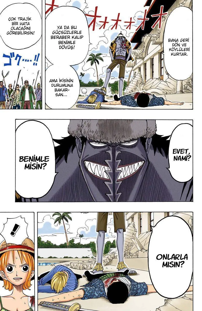 One Piece [Renkli] - Sayfa 14