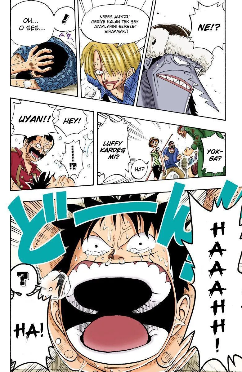 One Piece [Renkli] - Sayfa 17