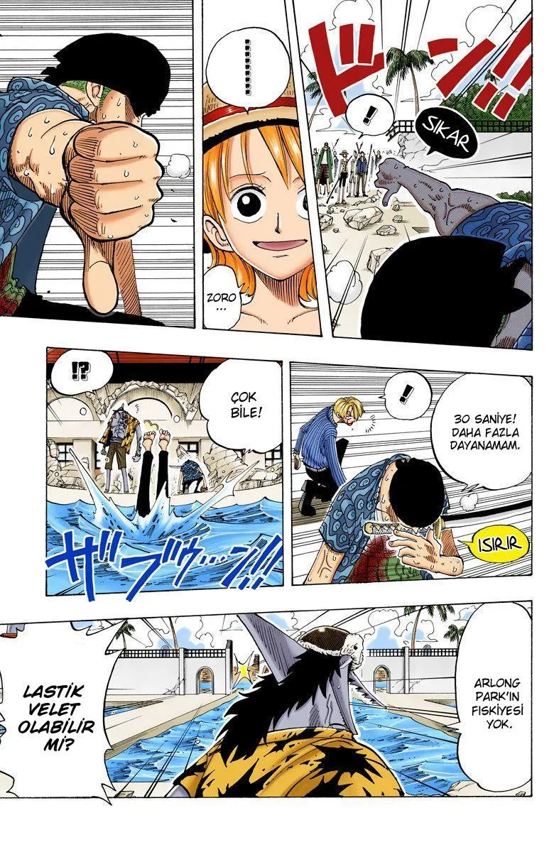 One Piece [Renkli] - Sayfa 18