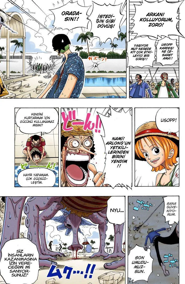 One Piece [Renkli] - Sayfa 20