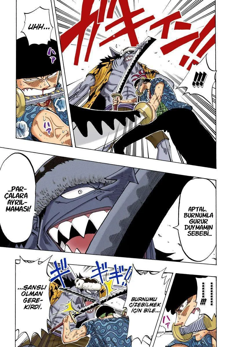 One Piece [Renkli] - Sayfa 6