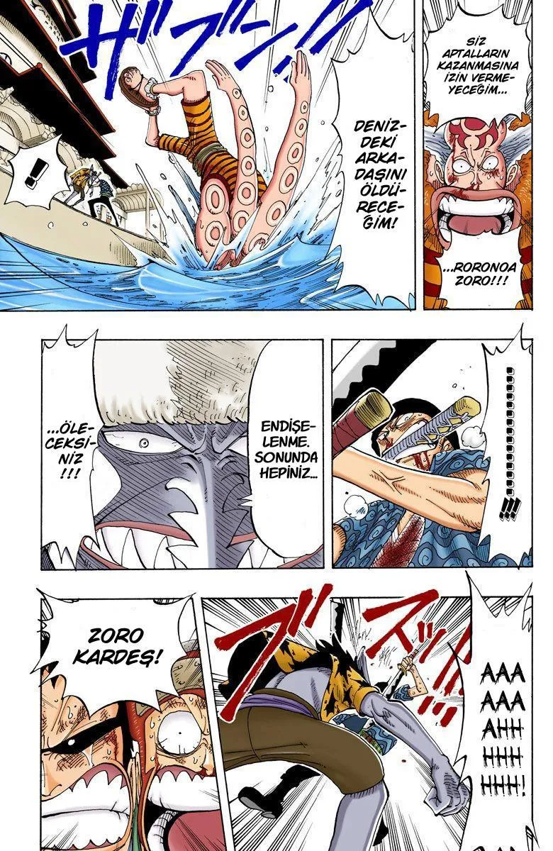 One Piece [Renkli] - Sayfa 8