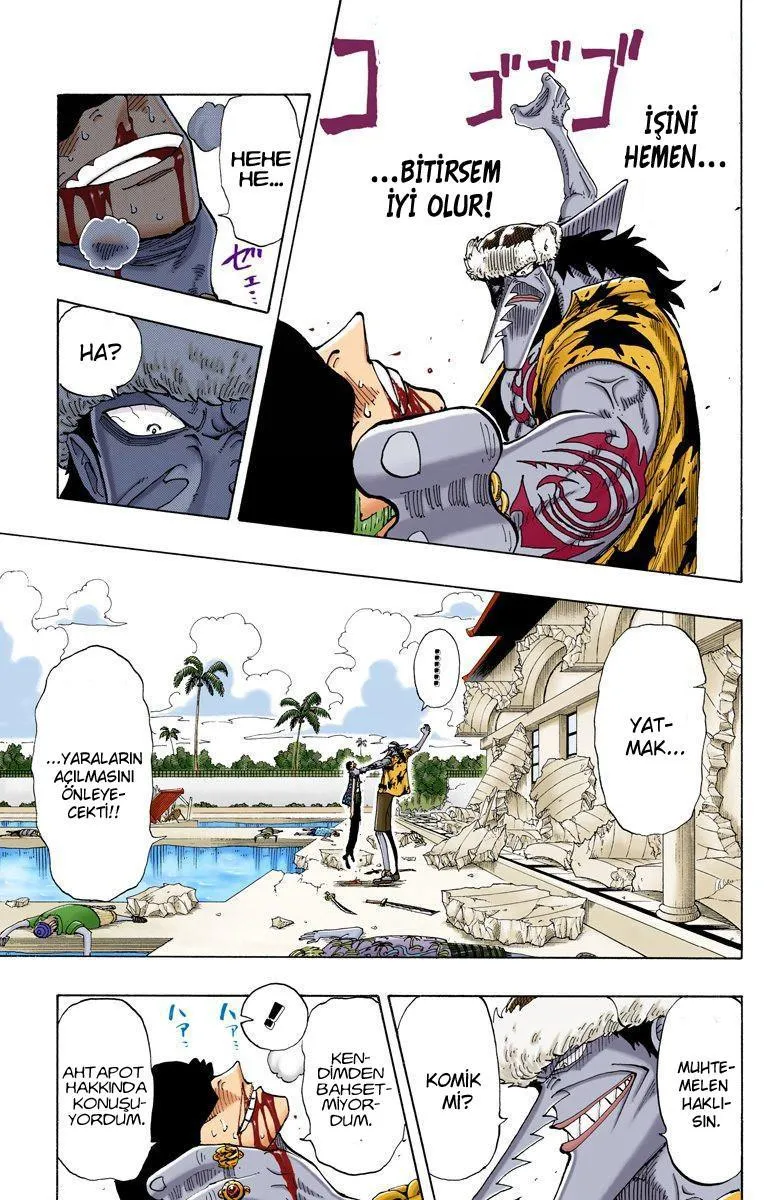 One Piece [Renkli] - Sayfa 12