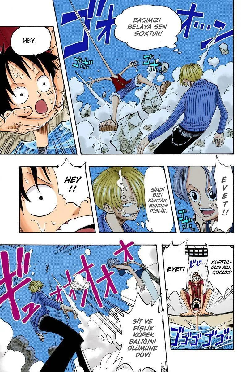 One Piece [Renkli] - Sayfa 14