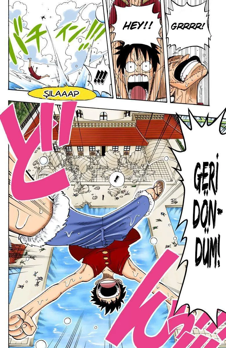 One Piece [Renkli] - Sayfa 15