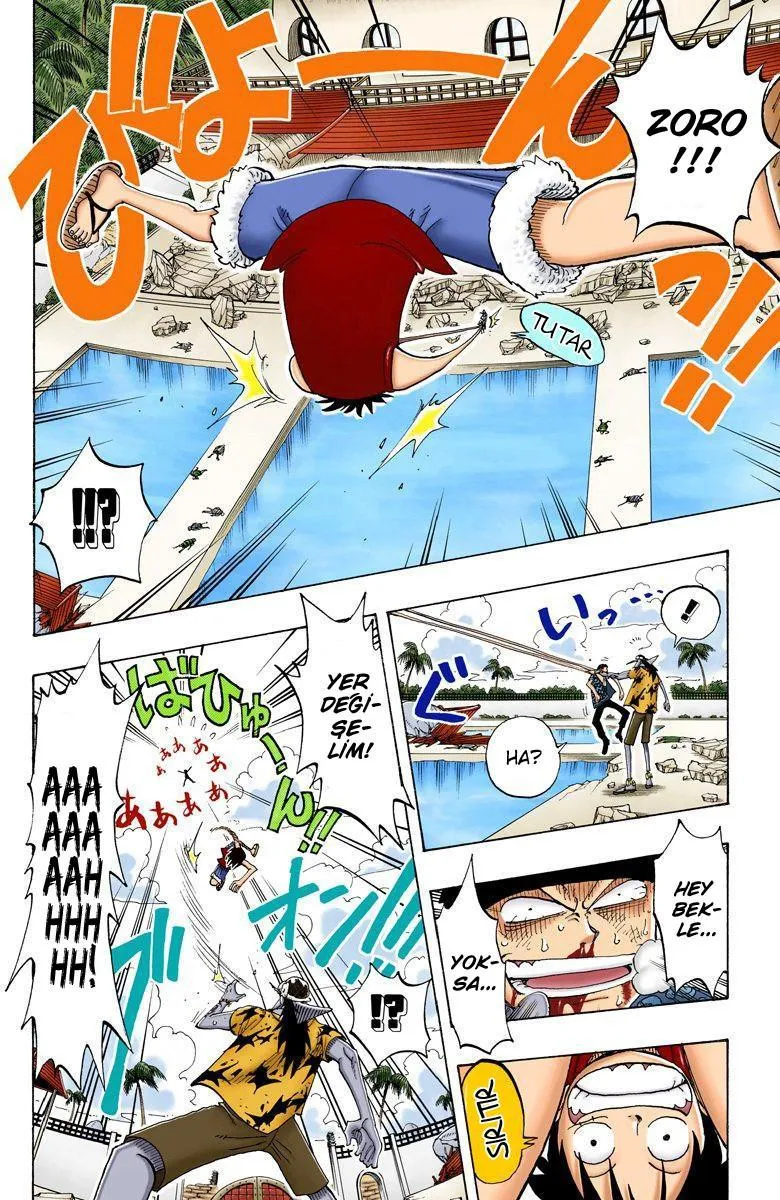 One Piece [Renkli] - Sayfa 17