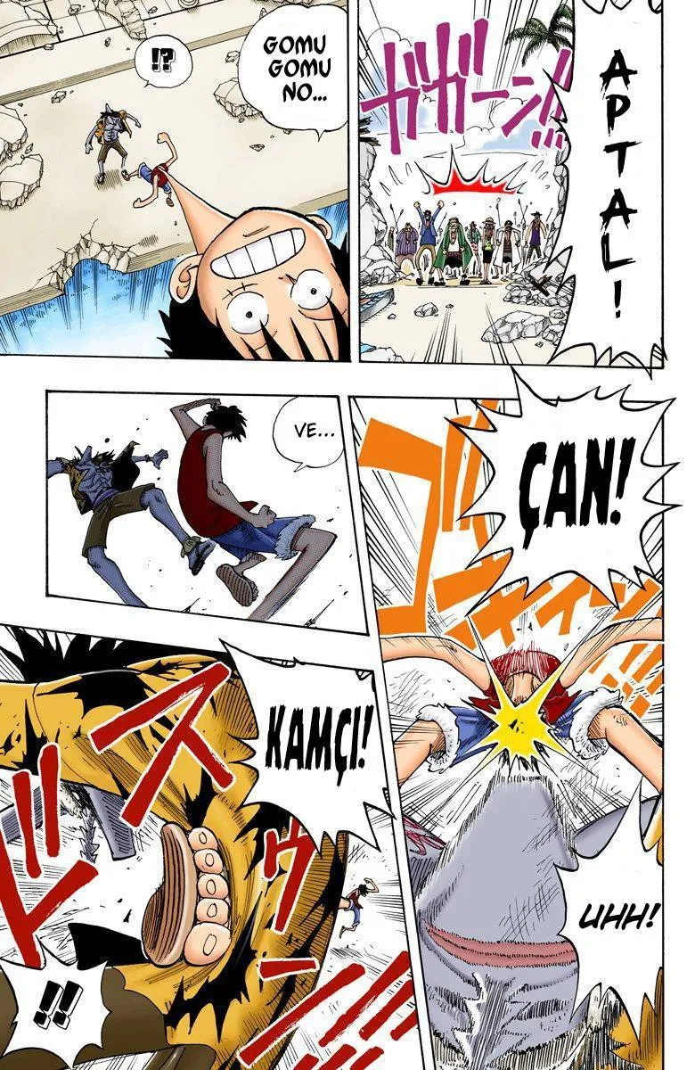 One Piece [Renkli] - Sayfa 18