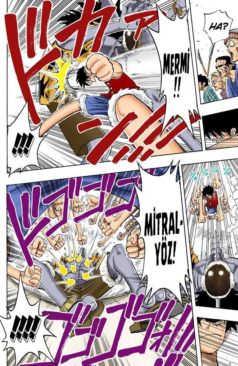 One Piece [Renkli] - Sayfa 19