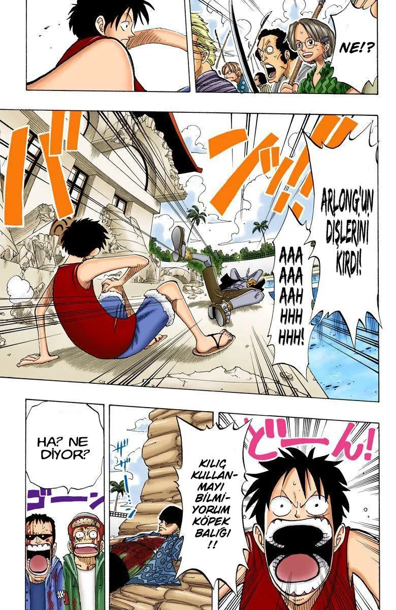 One Piece [Renkli] - Sayfa 14