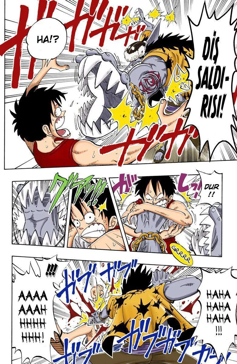 One Piece [Renkli] - Sayfa 19