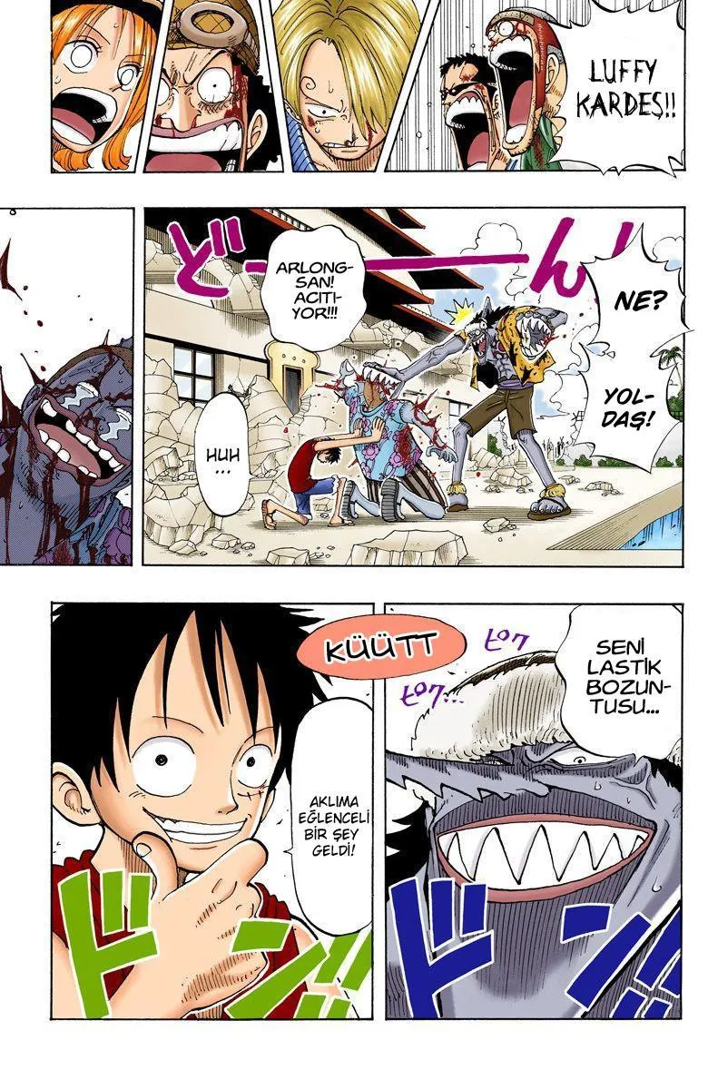 One Piece [Renkli] - Sayfa 20