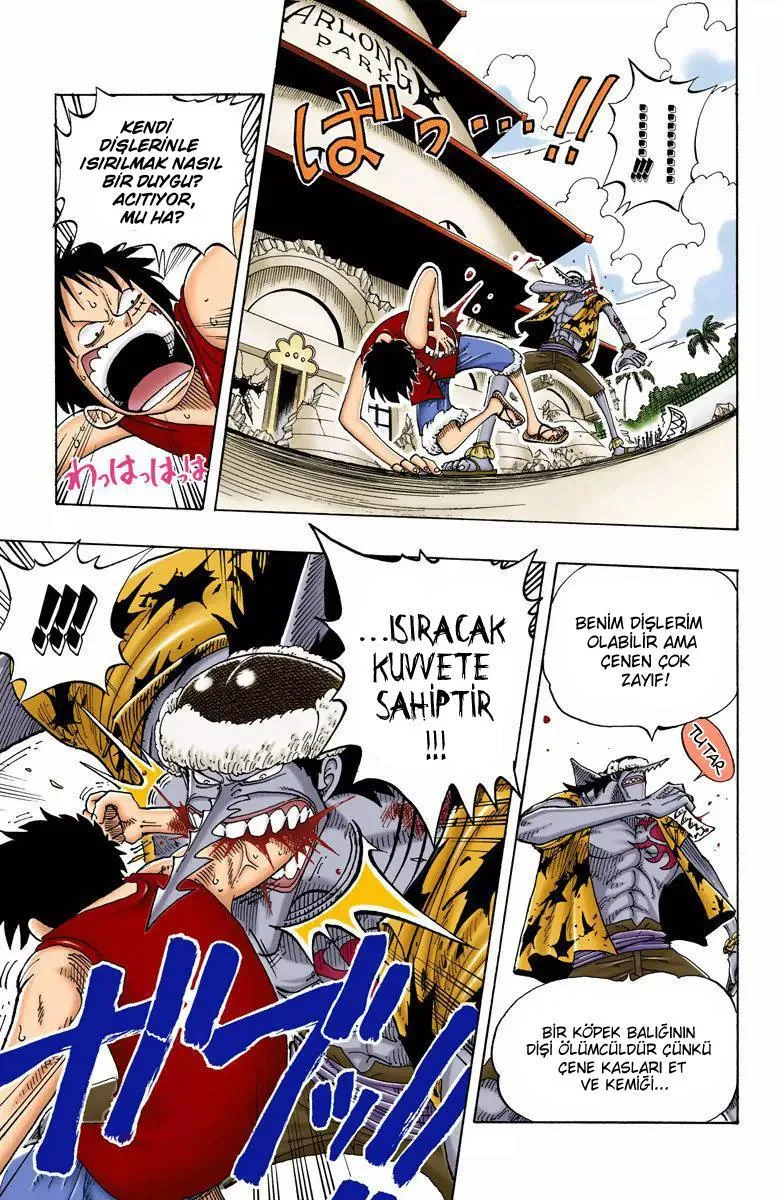 One Piece [Renkli] - Sayfa 10
