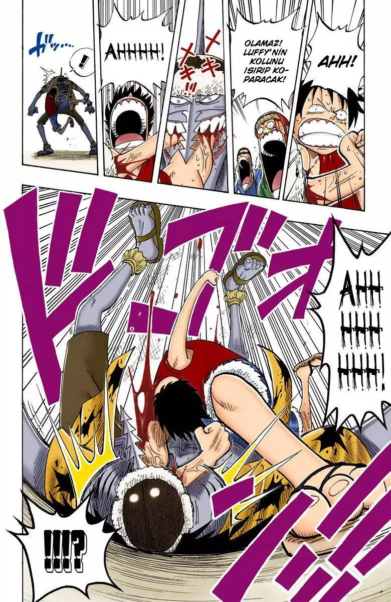 One Piece [Renkli] - Sayfa 11