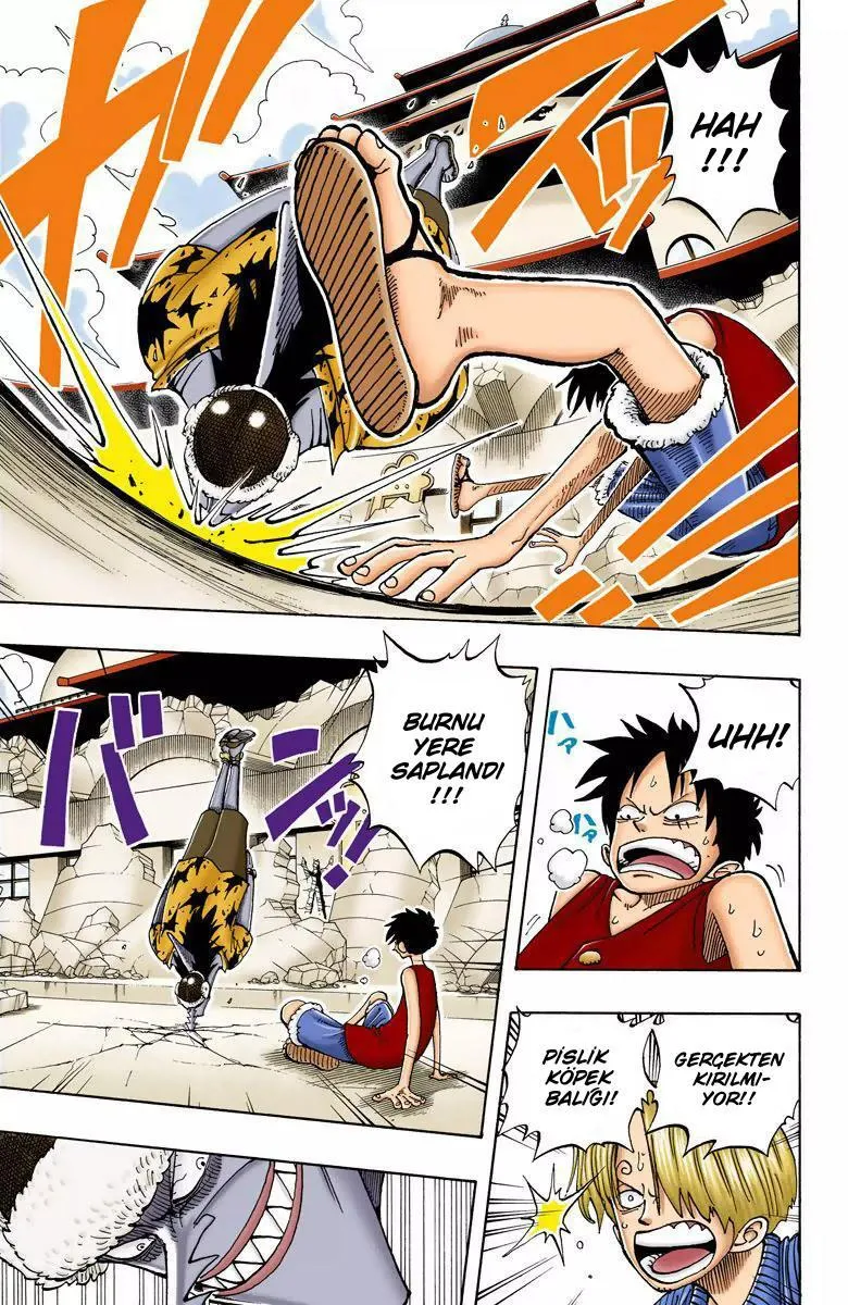 One Piece [Renkli] - Sayfa 18