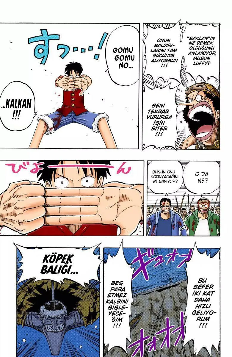 One Piece [Renkli] - Sayfa 4