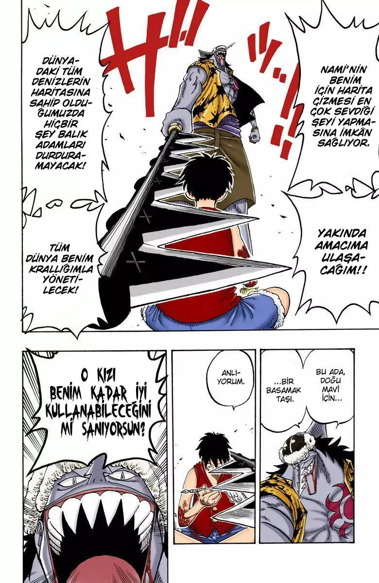 One Piece [Renkli] - Sayfa 19